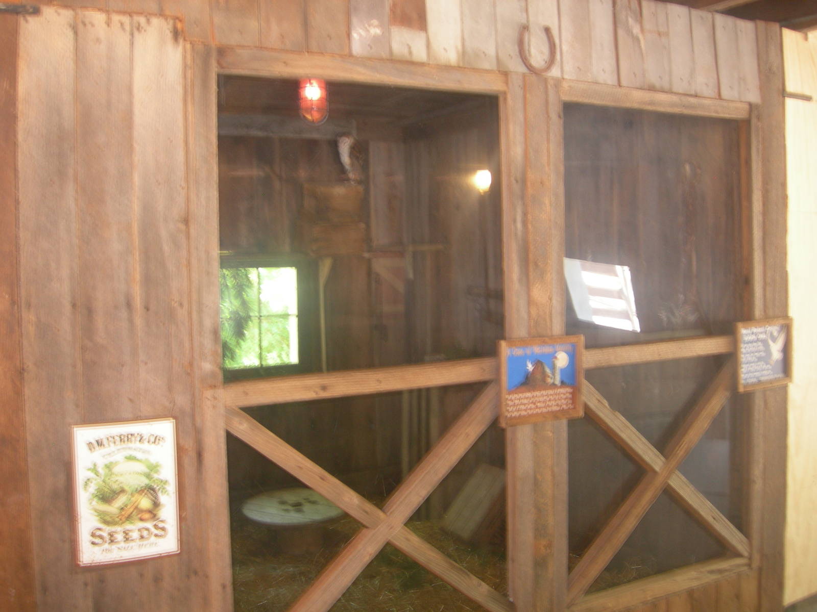 Barn owl exhibit