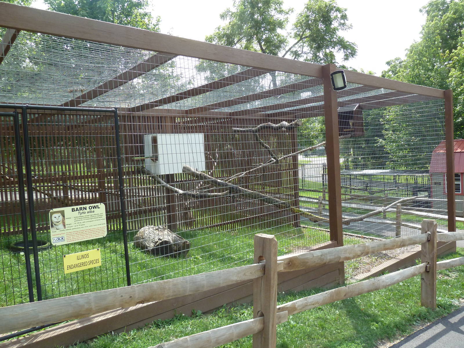 Barn Owl Exhibit