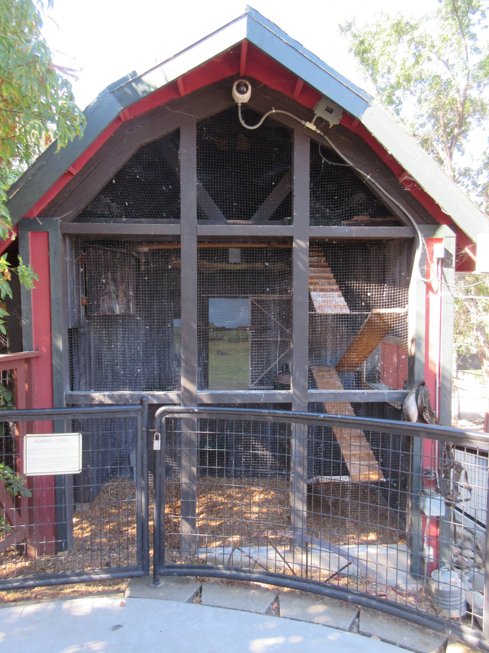 Barn Owl Exhibit