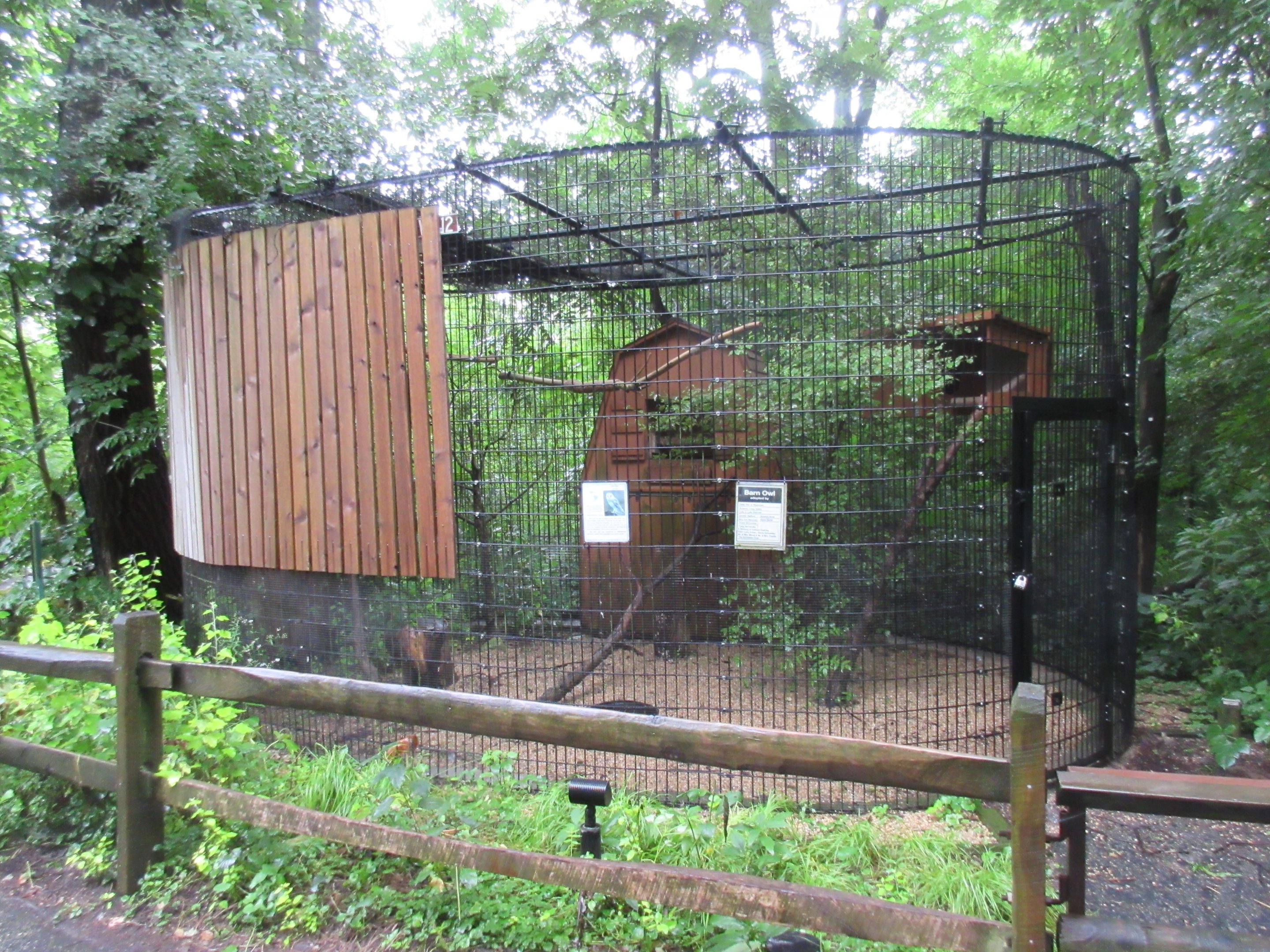 Barn Owl Exhibit