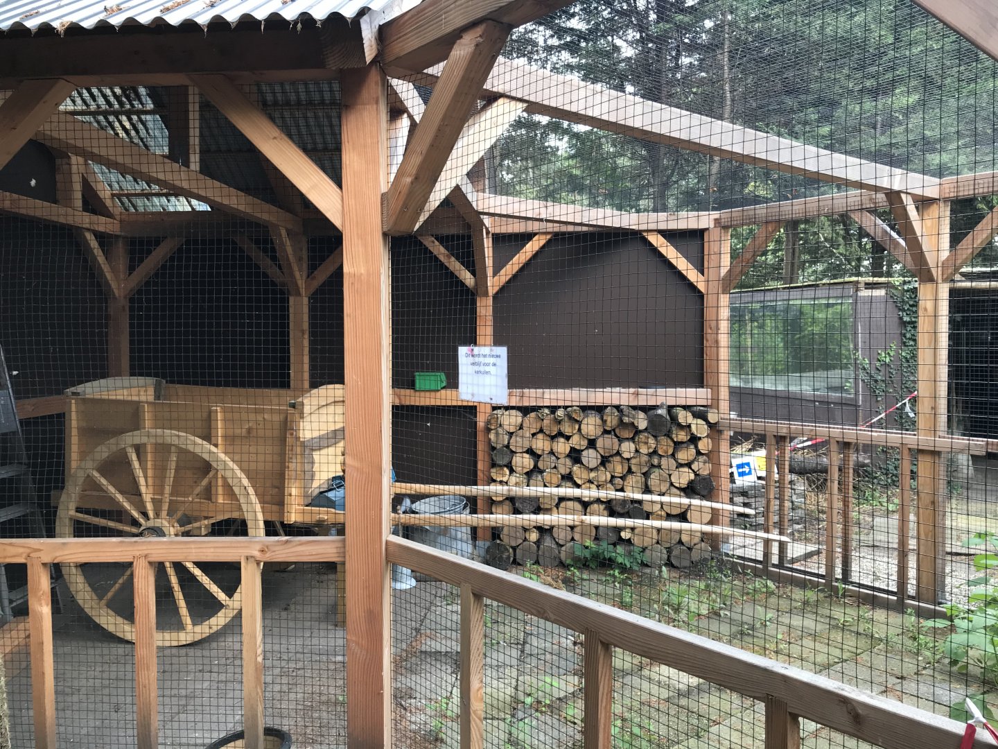 Barn owl - new aviary
