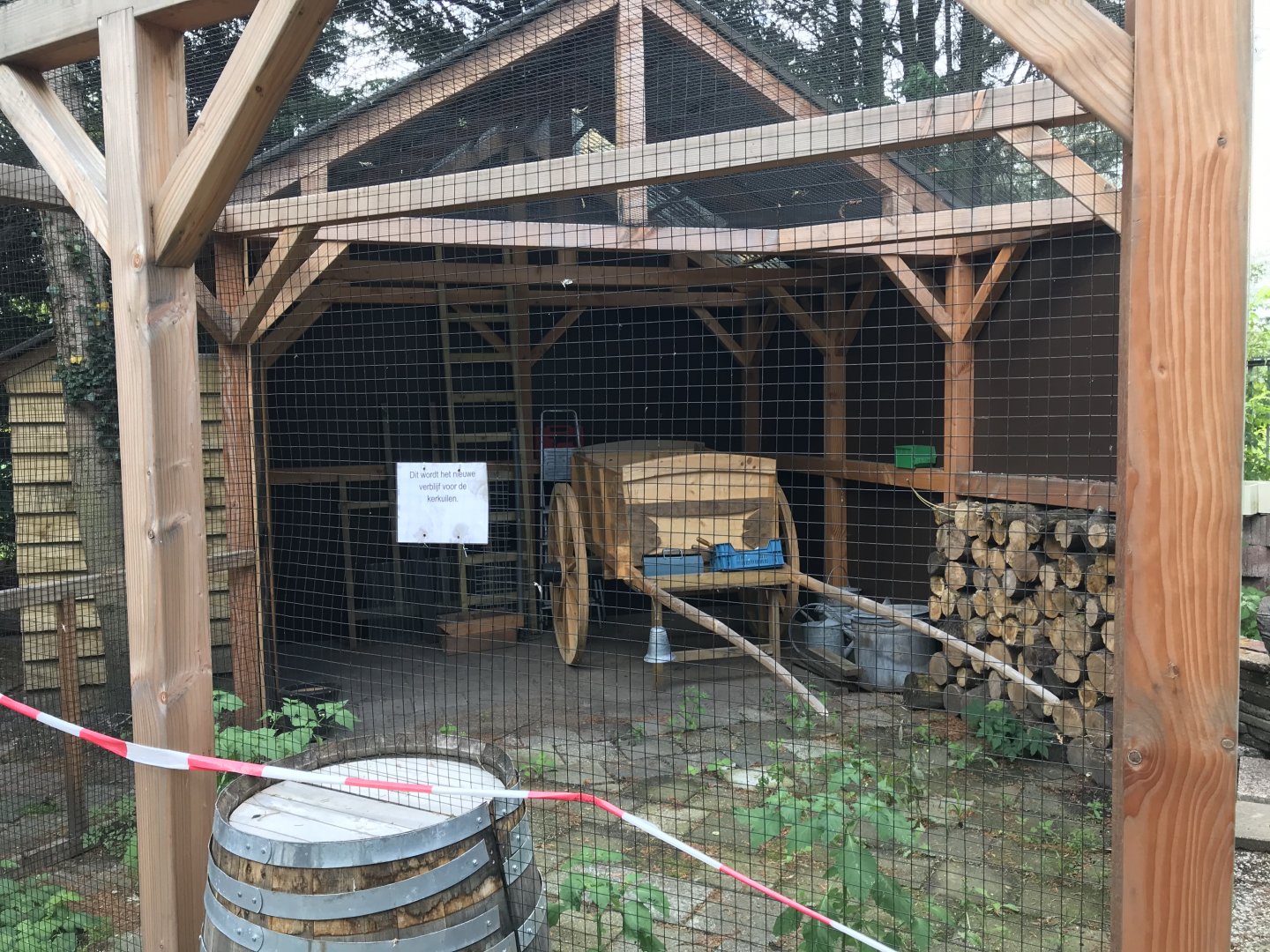Barn owl - new aviary