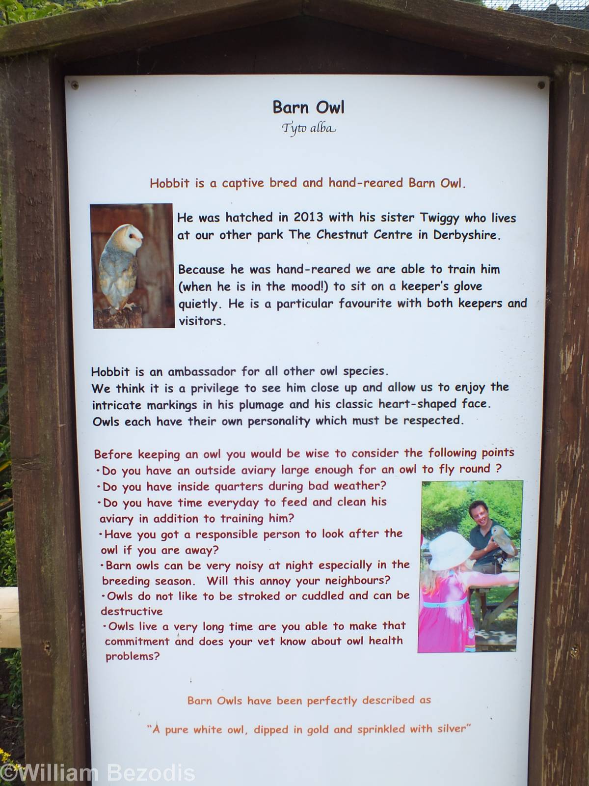 Barn Owl Sign