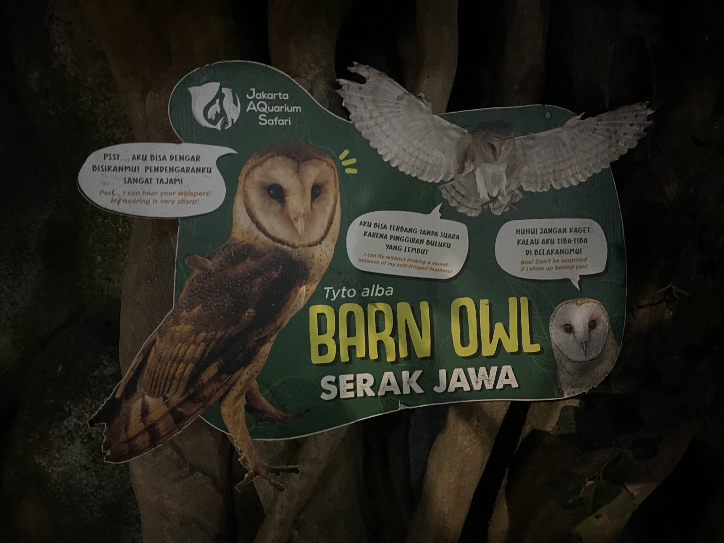 barn owl signage