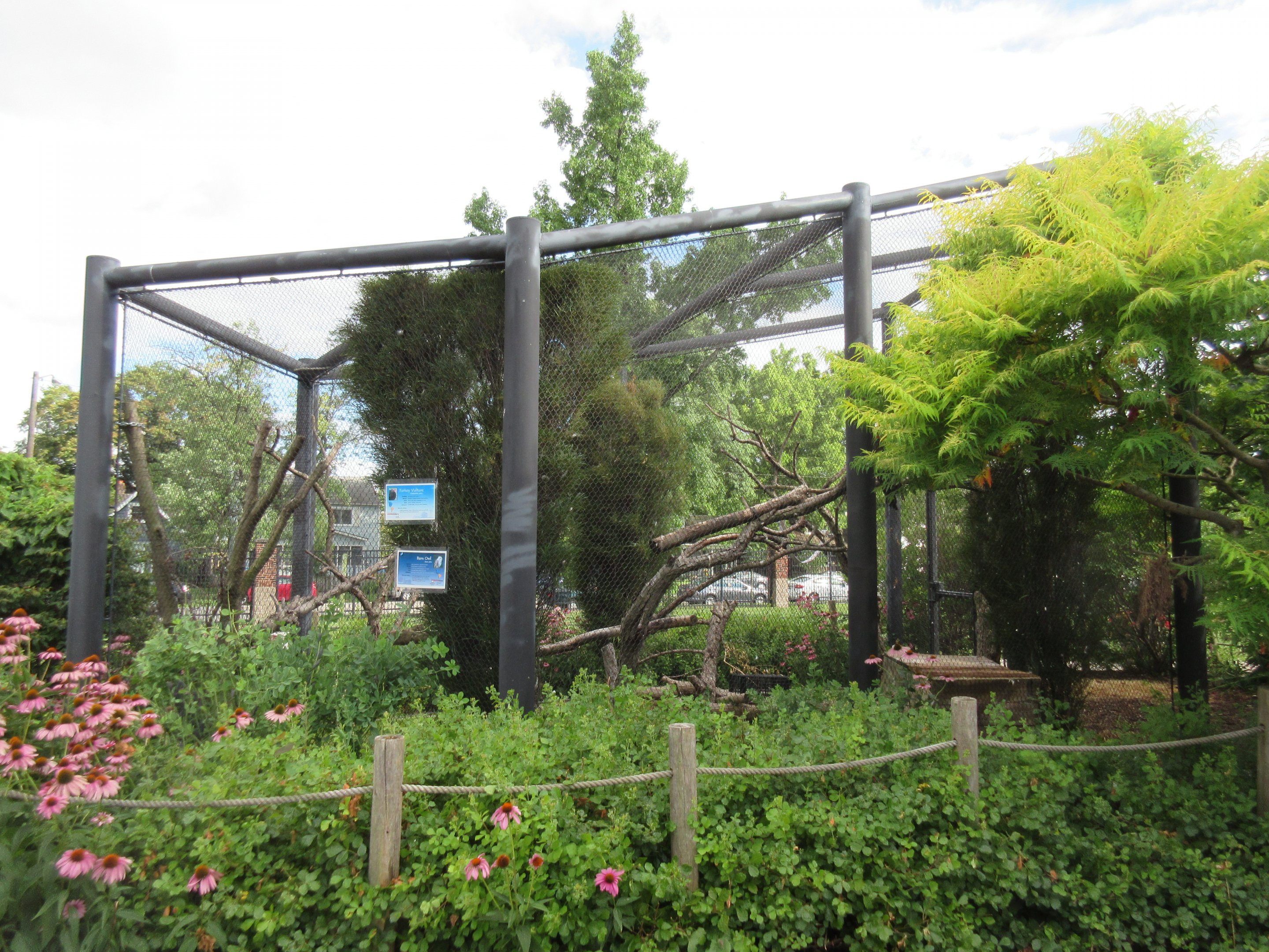 Barn Owl/Turkey Vulture Exhibit