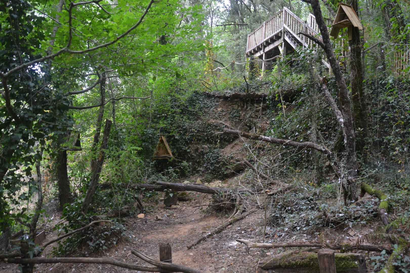 Barn owl walkthrough exhibition