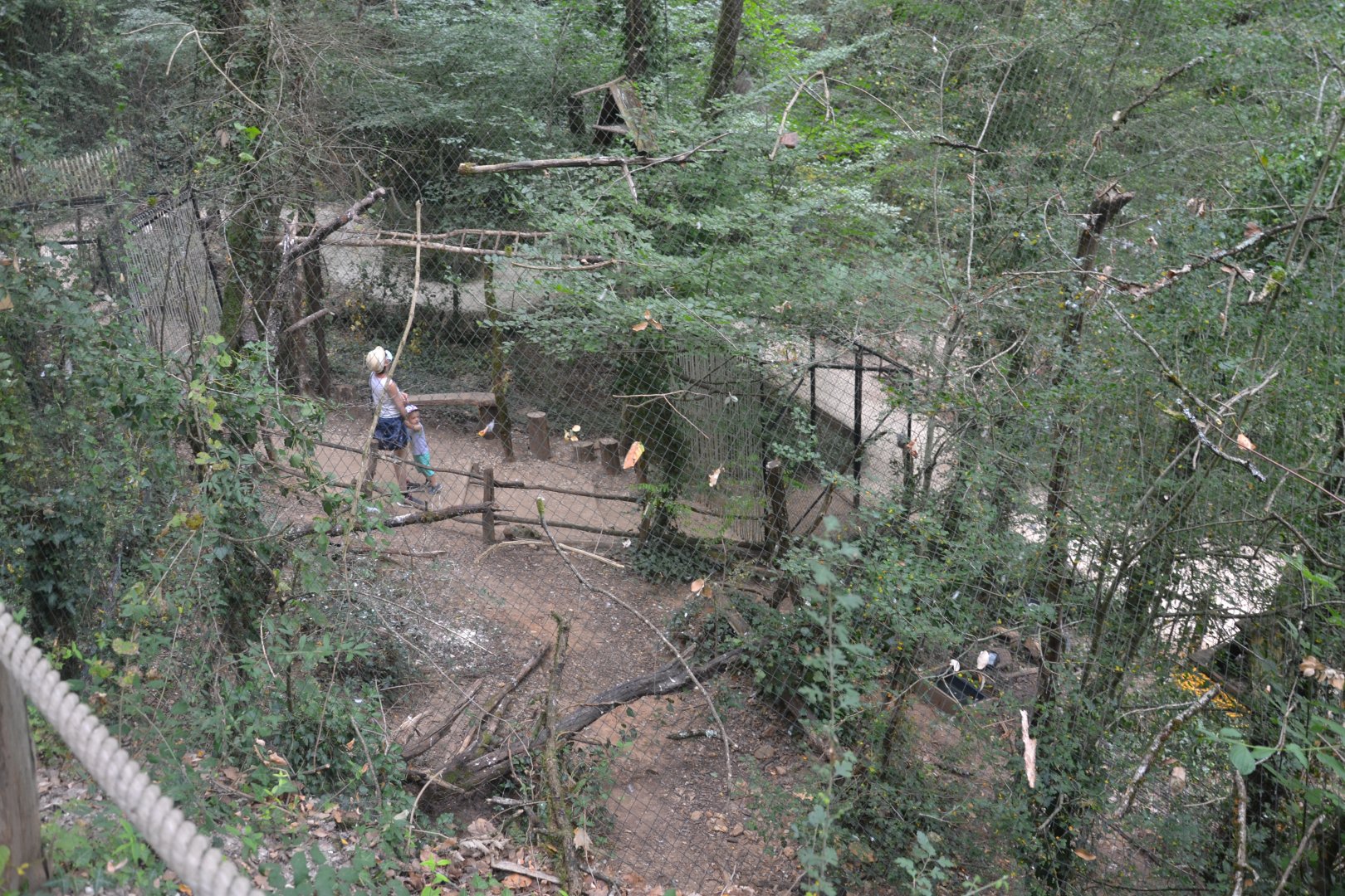 Barn owl walkthrough exhibition