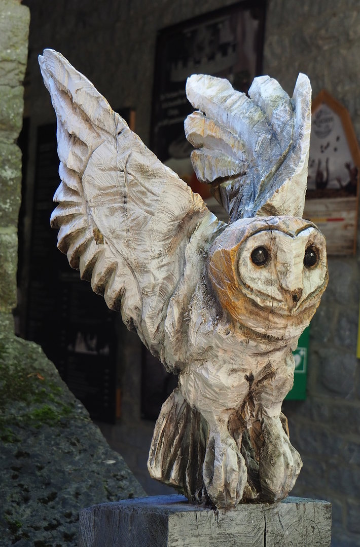 Barn owl wood carving, 2023-09-26