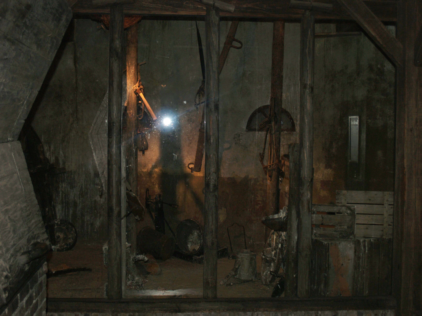 Barn owls in a barn exhibit, 2006-07-08