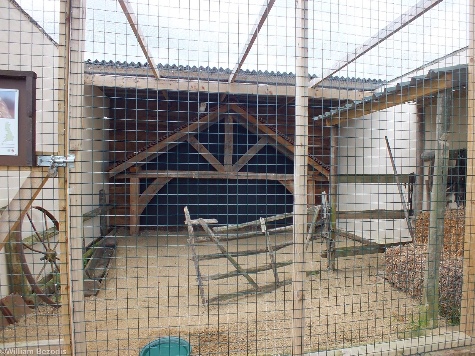 Barn-themed Barn owl Enclosure