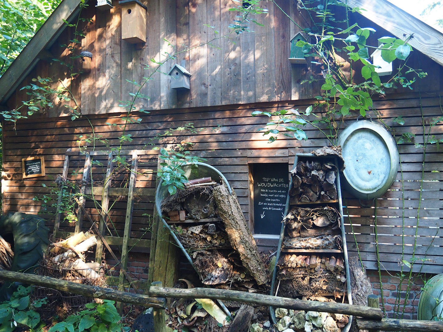 Barn wall with nesting boxes and insect hotels, 2023-09-24