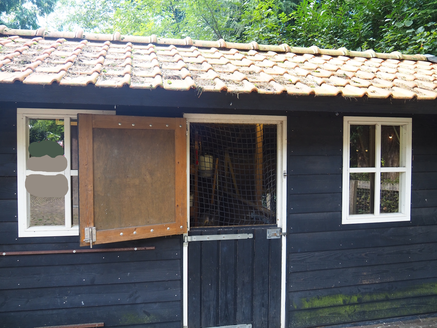 Barnevelder chicken and Twentse Landrace goose coop, 2023-09-24