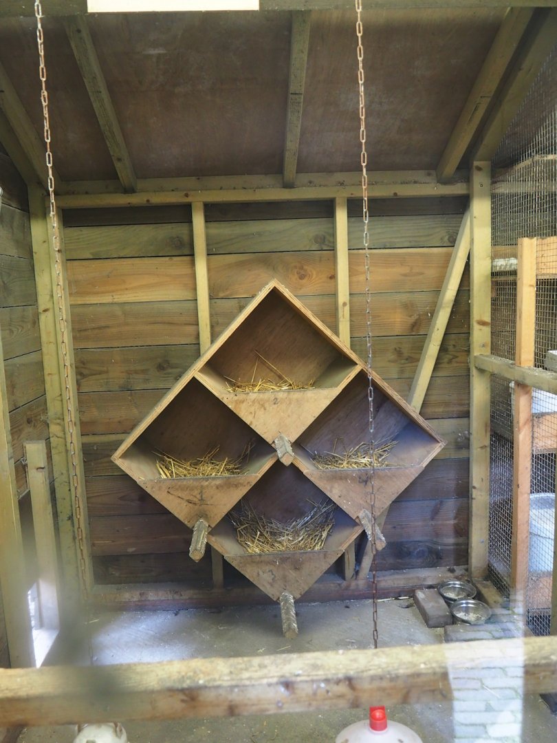 Barnevelder chicken coop, 2023-09-24