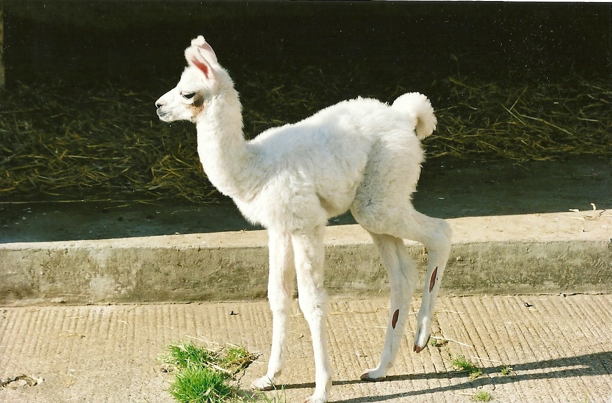 Barney, August (I think) 2008