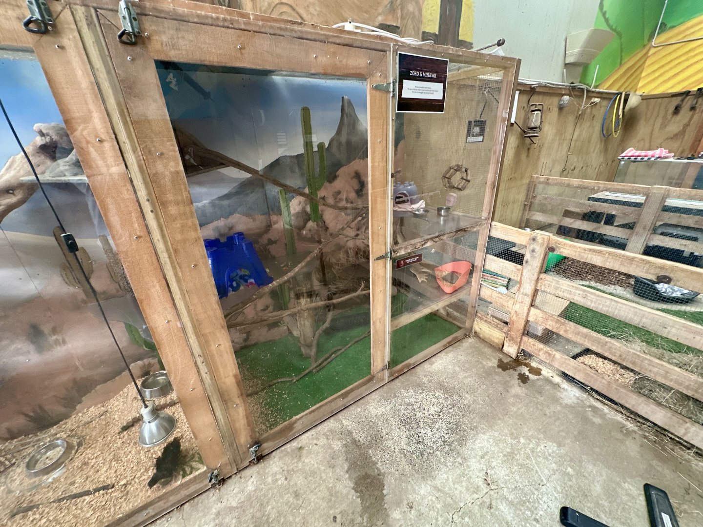 Barnyard -  Domestic Rat Exhibit