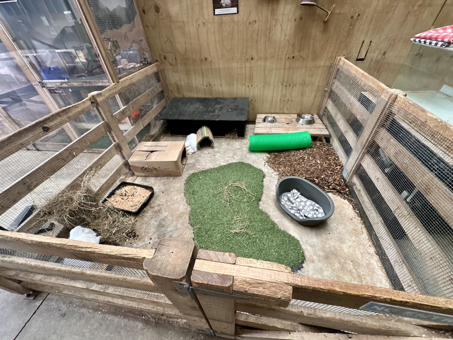 Barnyard -  Exhibit 3 (Domestic Rabbit)