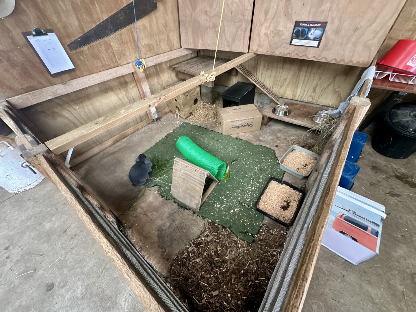 Barnyard -  Exhibit 5 (Domestic Rabbit)