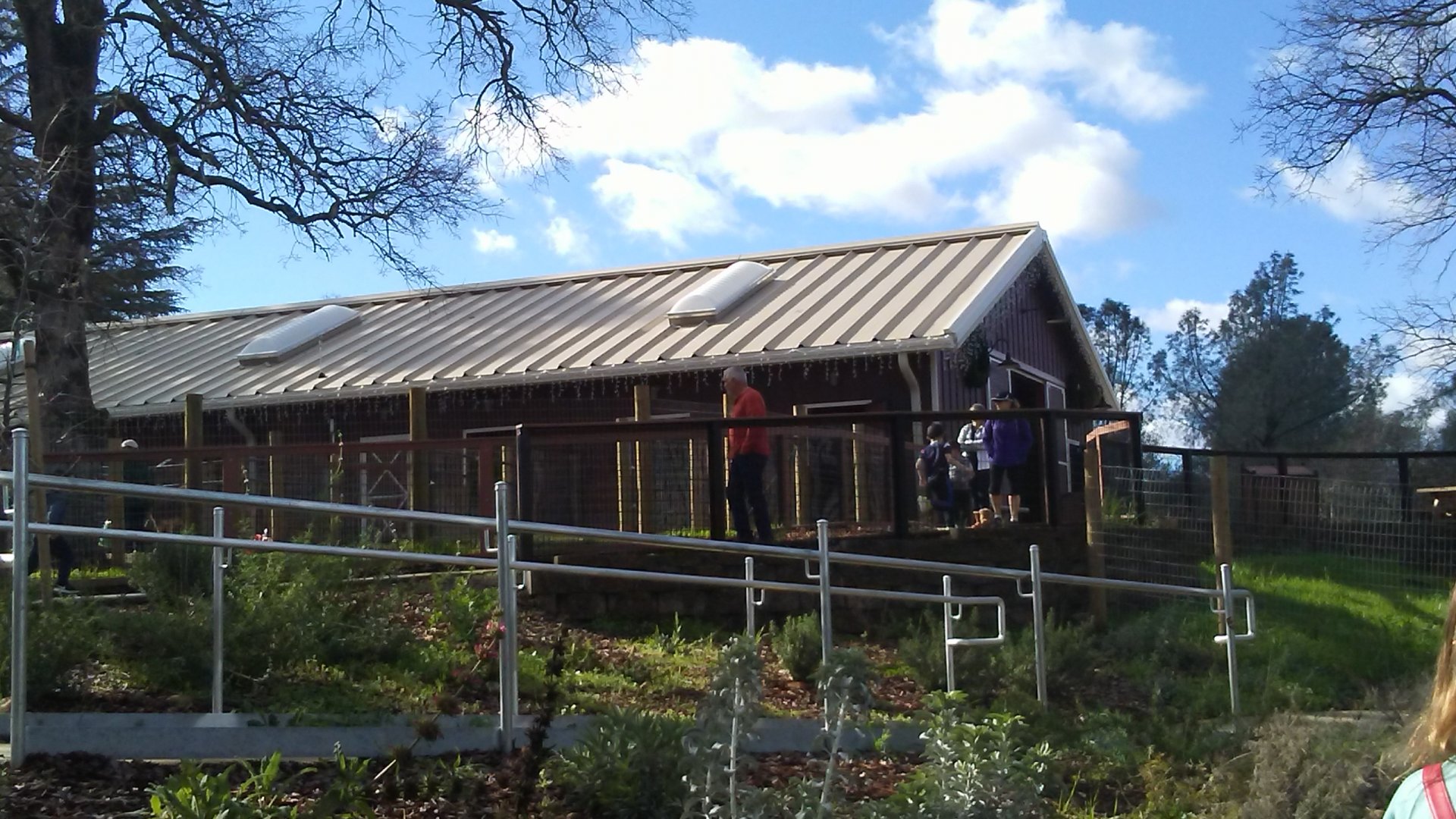 Barnyard Experience (New, opened May 2018)