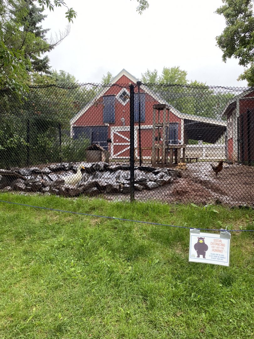Barnyard- game chicken/Plymouth Rock chicken/Peking duck exhibit