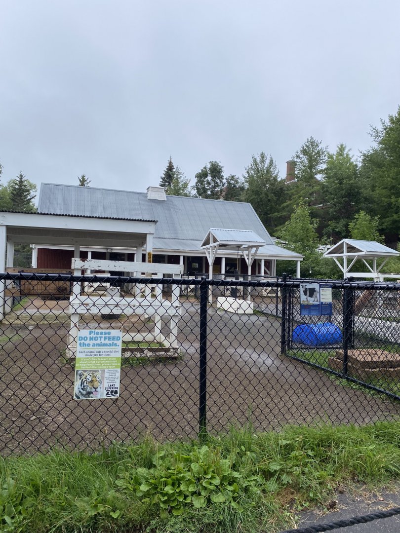 Barnyard- petting coral