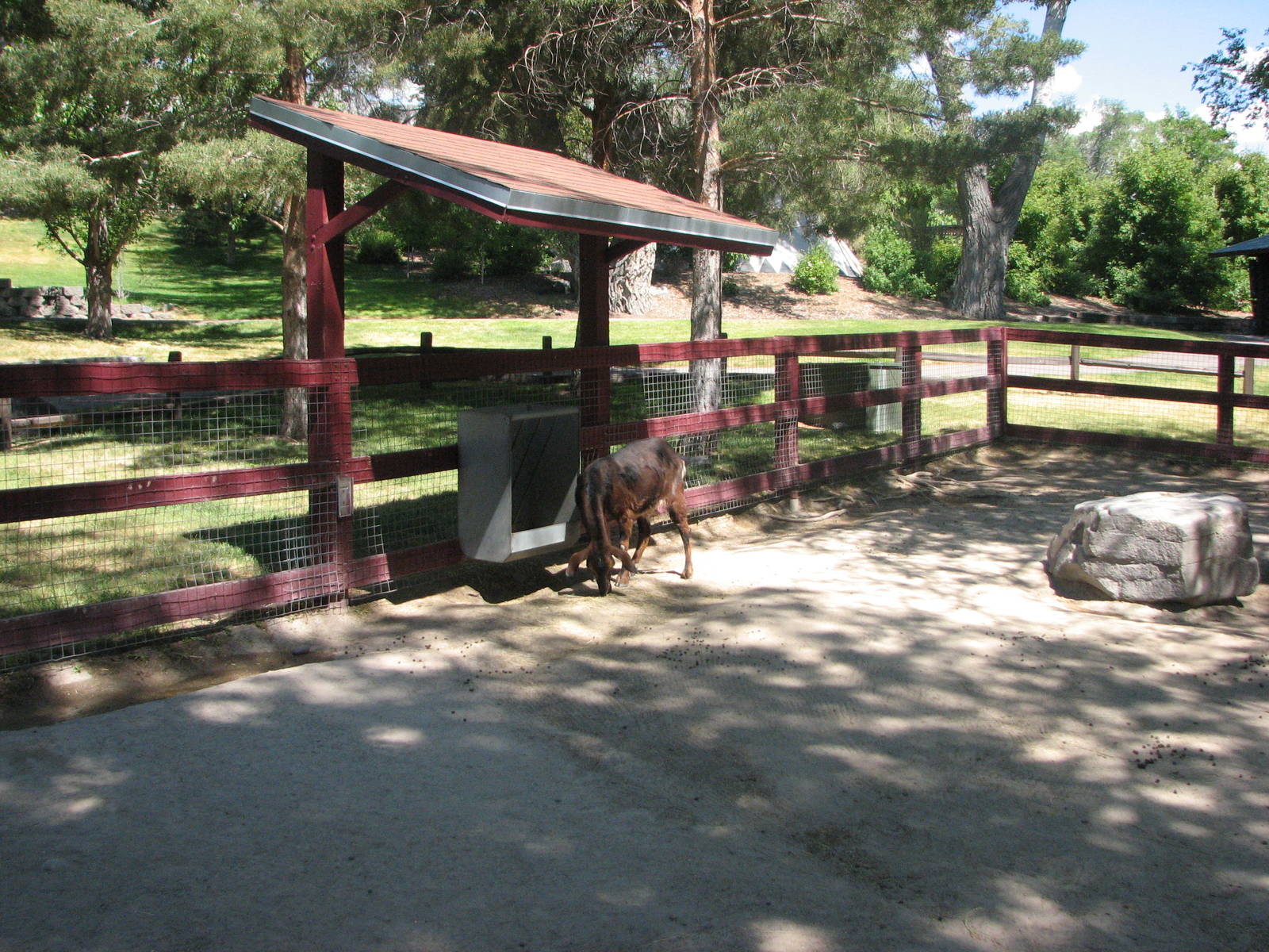 Barnyard - Petting Zoo