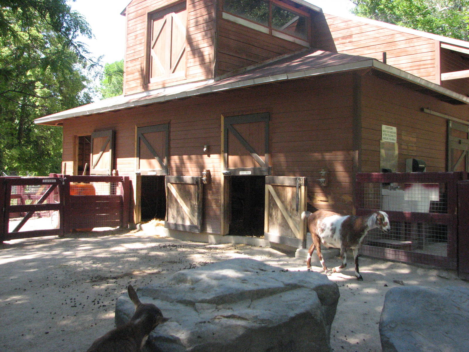 Barnyard - Petting Zoo