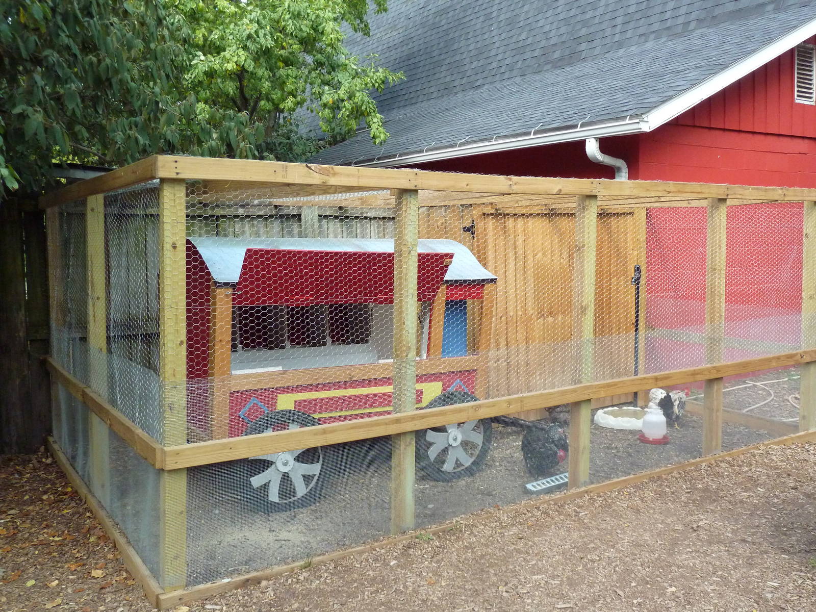 Barnyard - Serama Bantam Chicken Exhibit