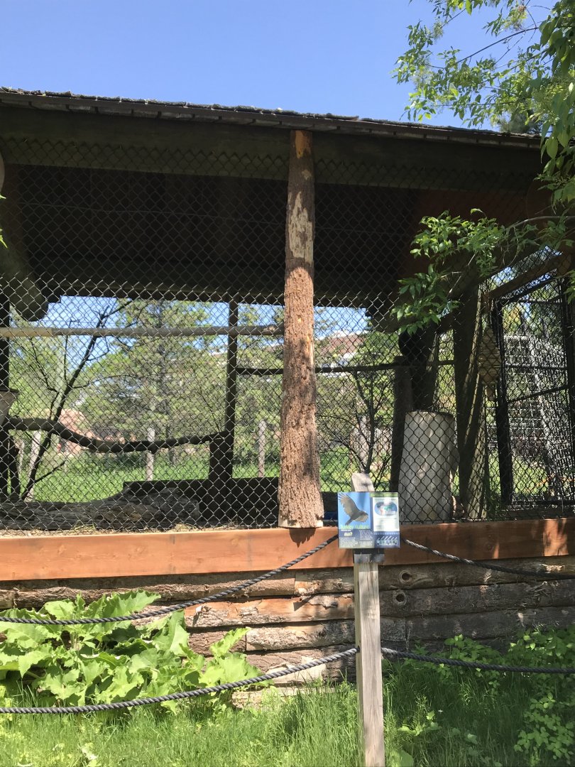 Barnyard- turkey vulture cage