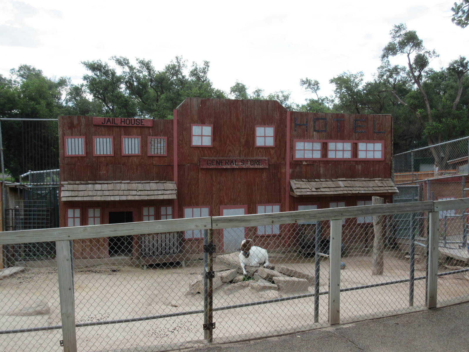 Barnyard Zone - Goat Exhibit