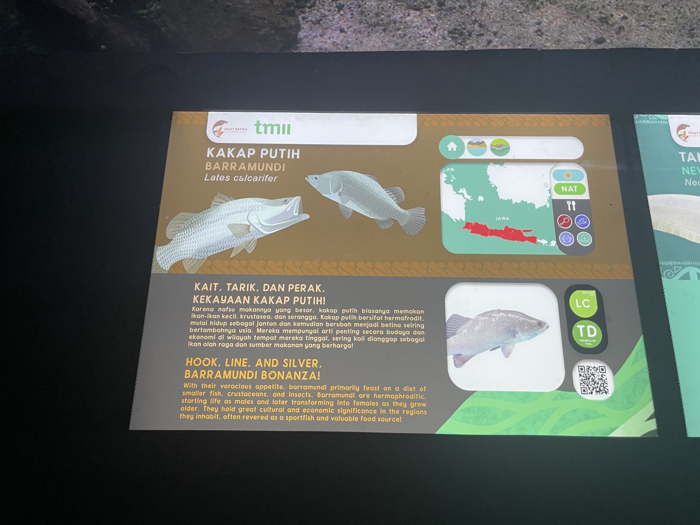 barramundi signage - dunia air tawar