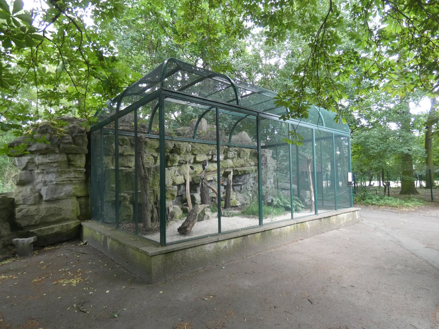 Barred Eagle-Owl Aviary