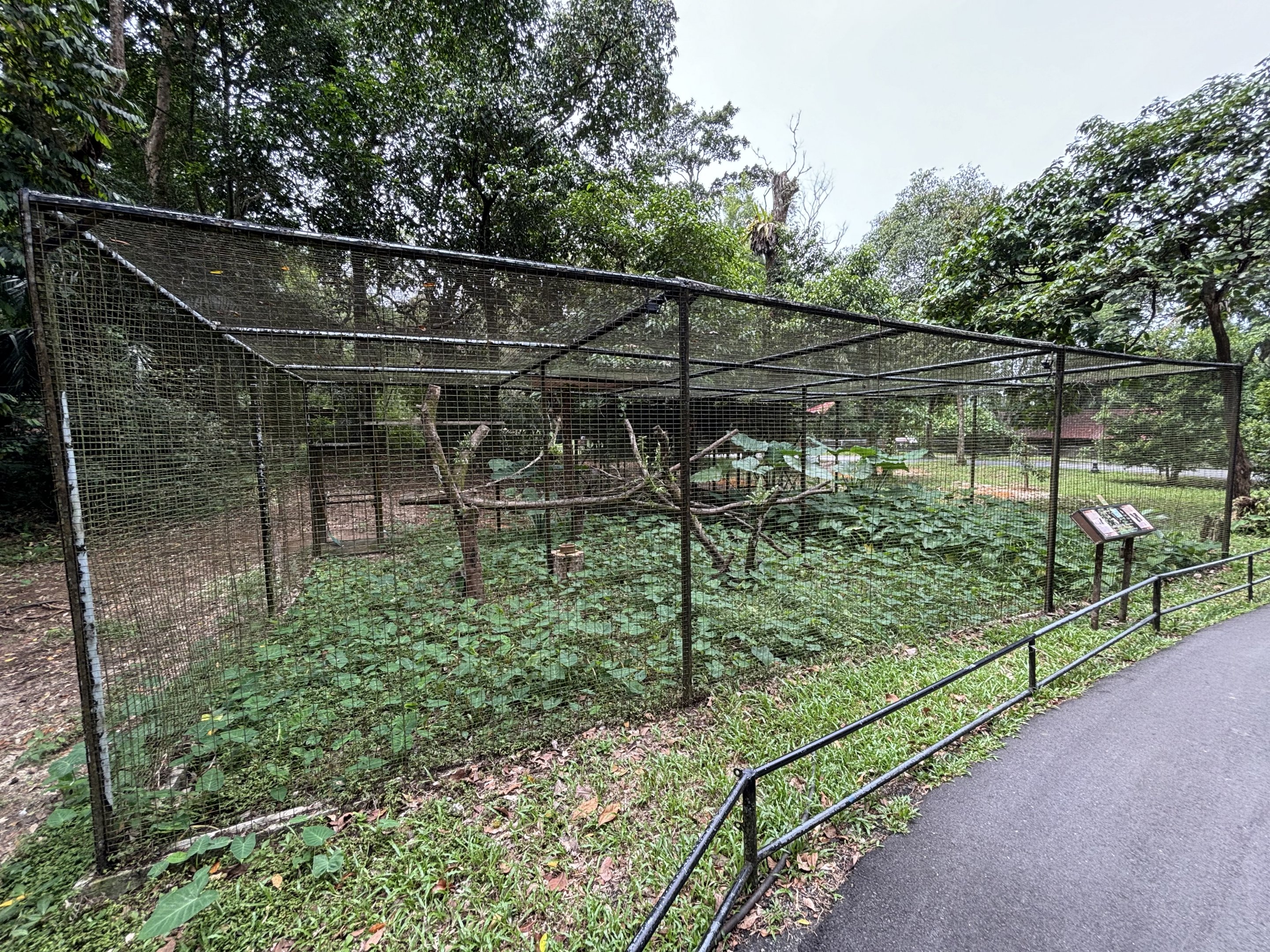 Barred Eagle Owl Aviary