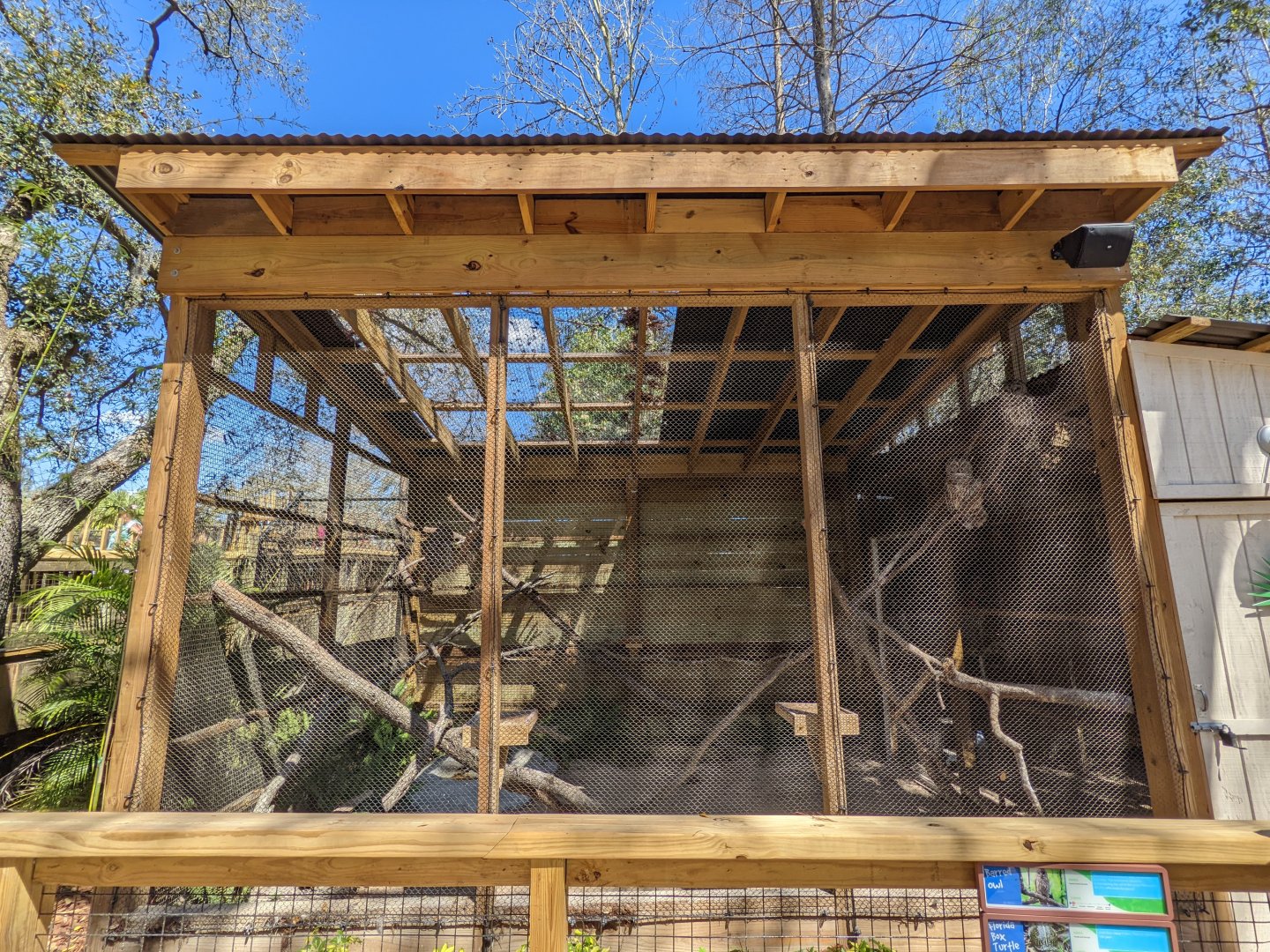 Barred owl aviary