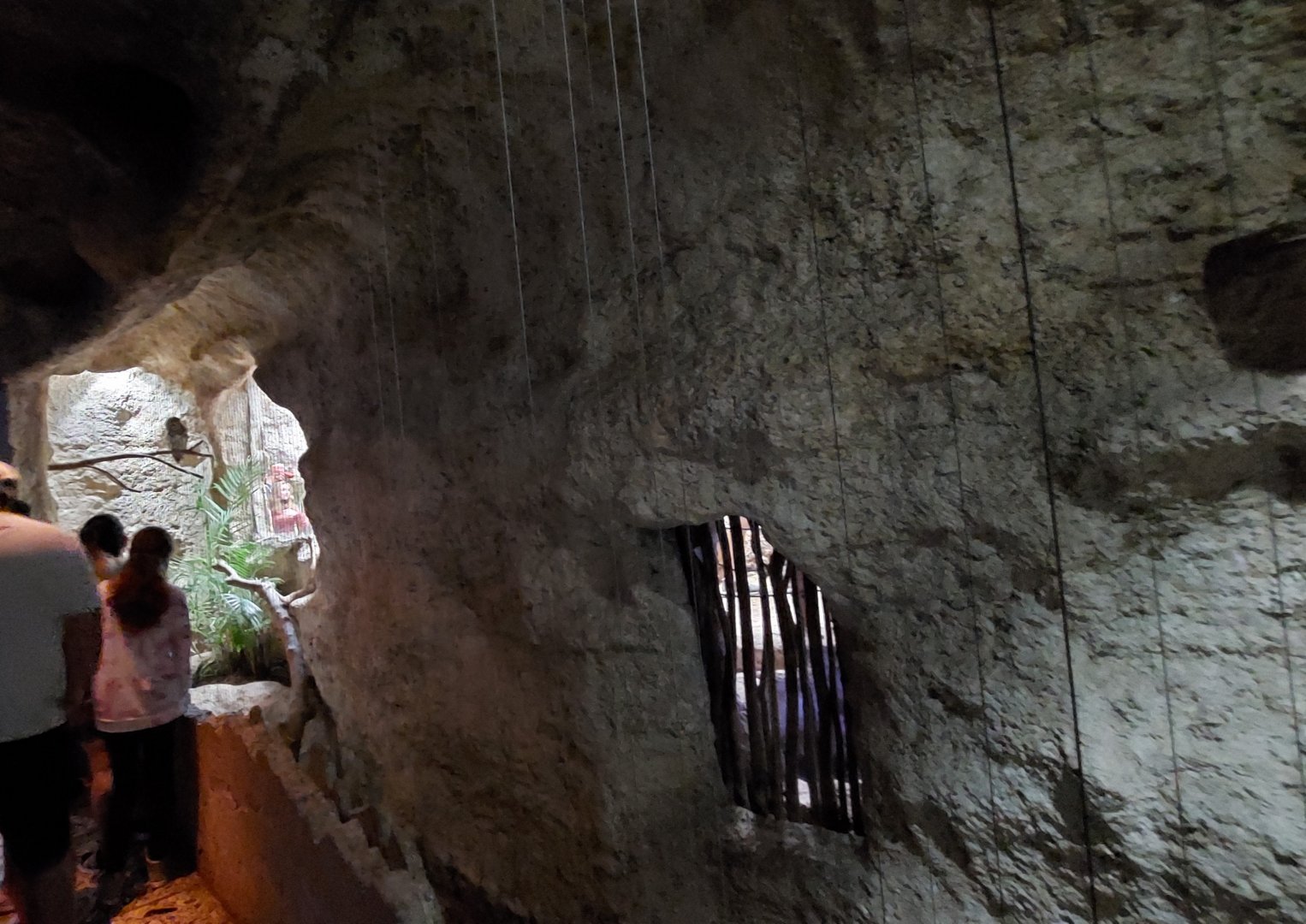 Barred Owl enclosure
