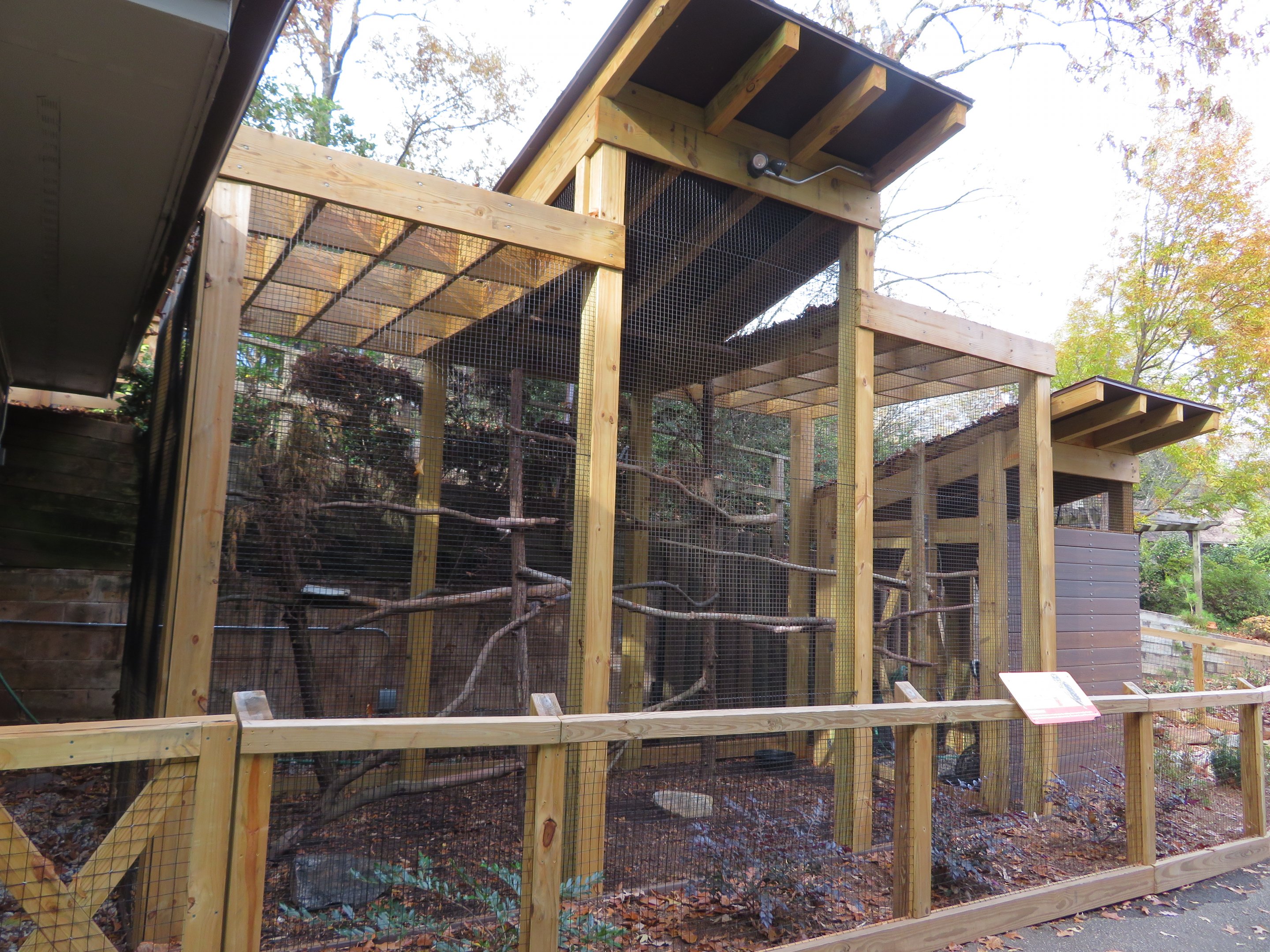 Barred Owl Exhibit