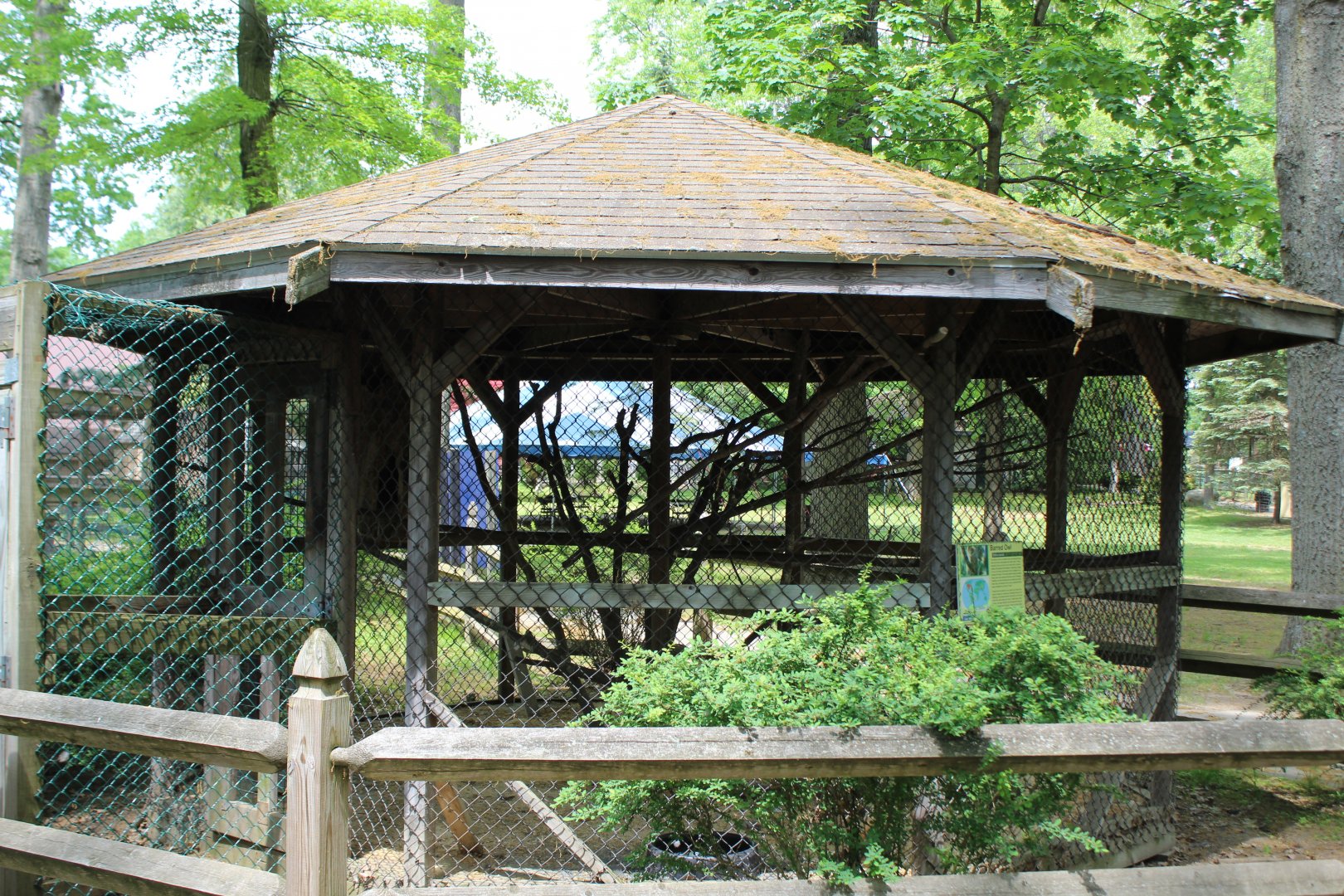 Barred Owl Gazebo