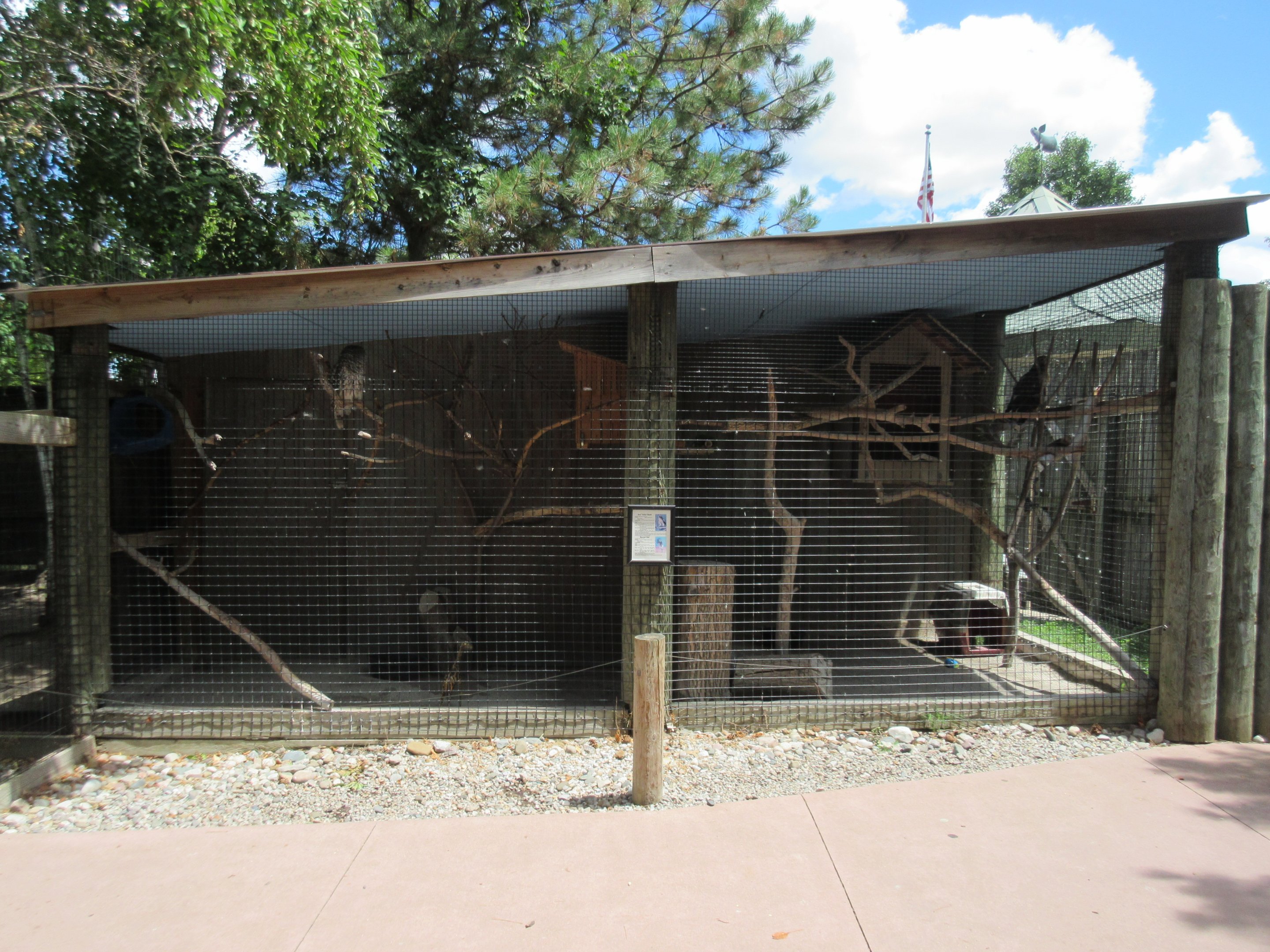 Barred Owl + Red-tailed Hawk Exhibits