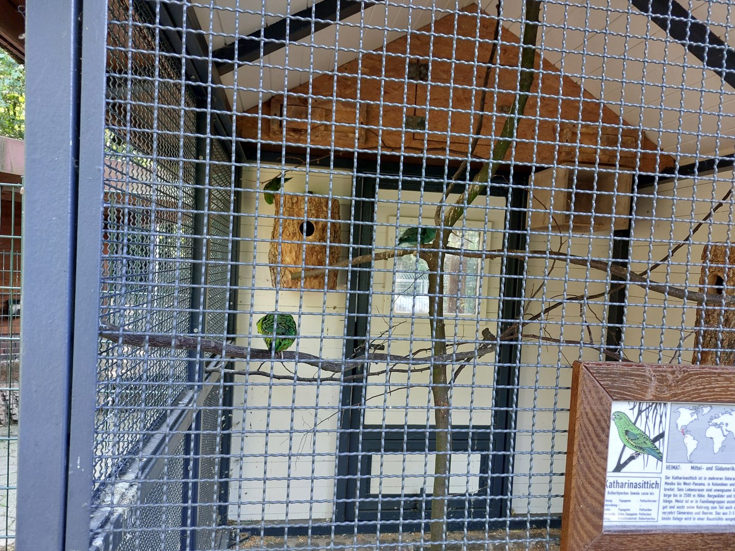 Barred parakeet avairy