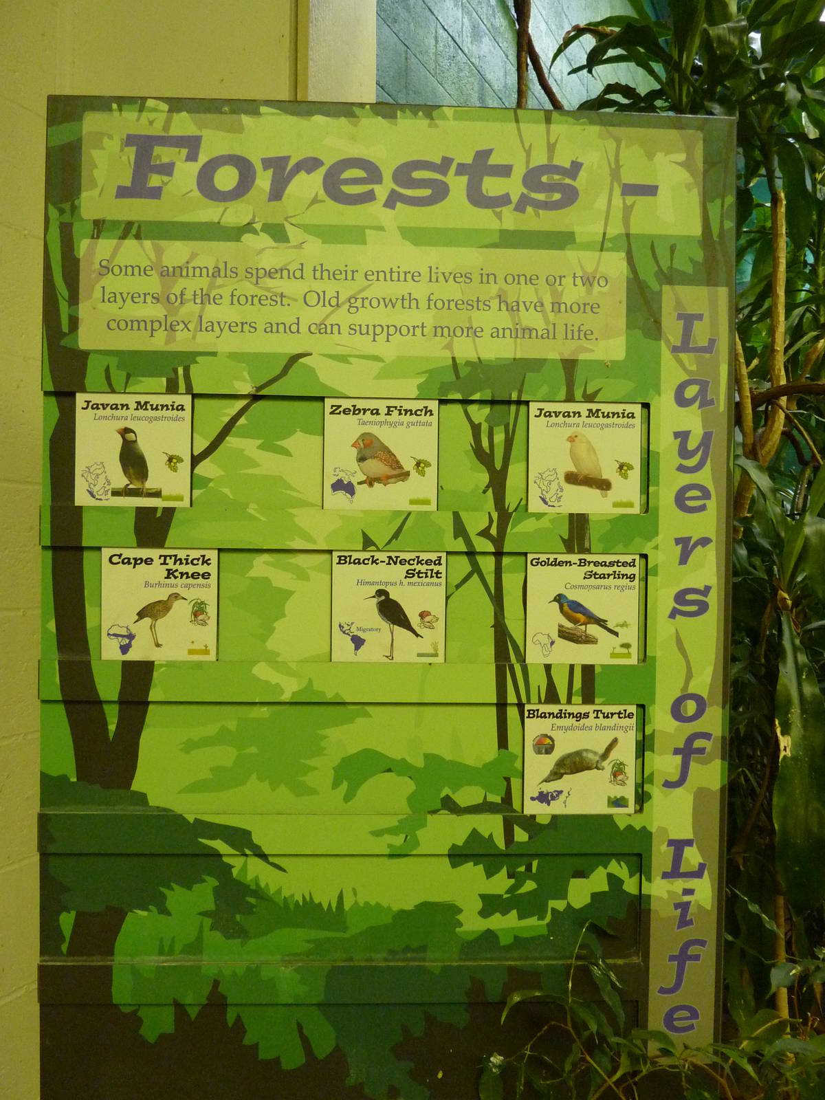 Barrier-Free Aviary - Signage