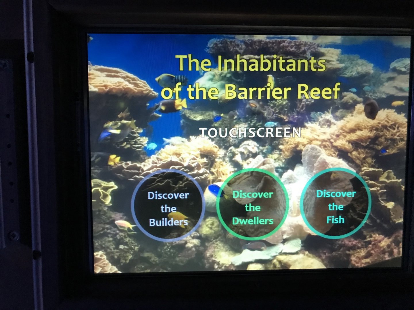 Barrier Reef guide