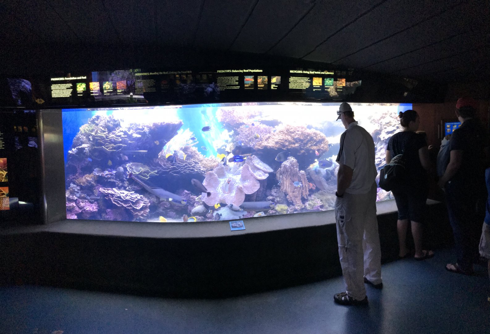 Barrier reef tank