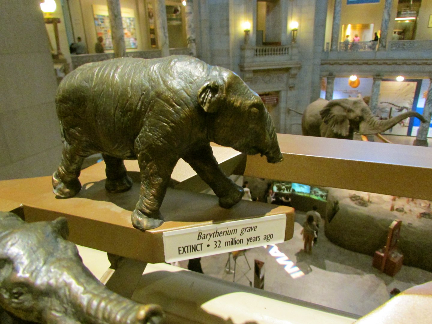 Barytherium Bronze Sculpture