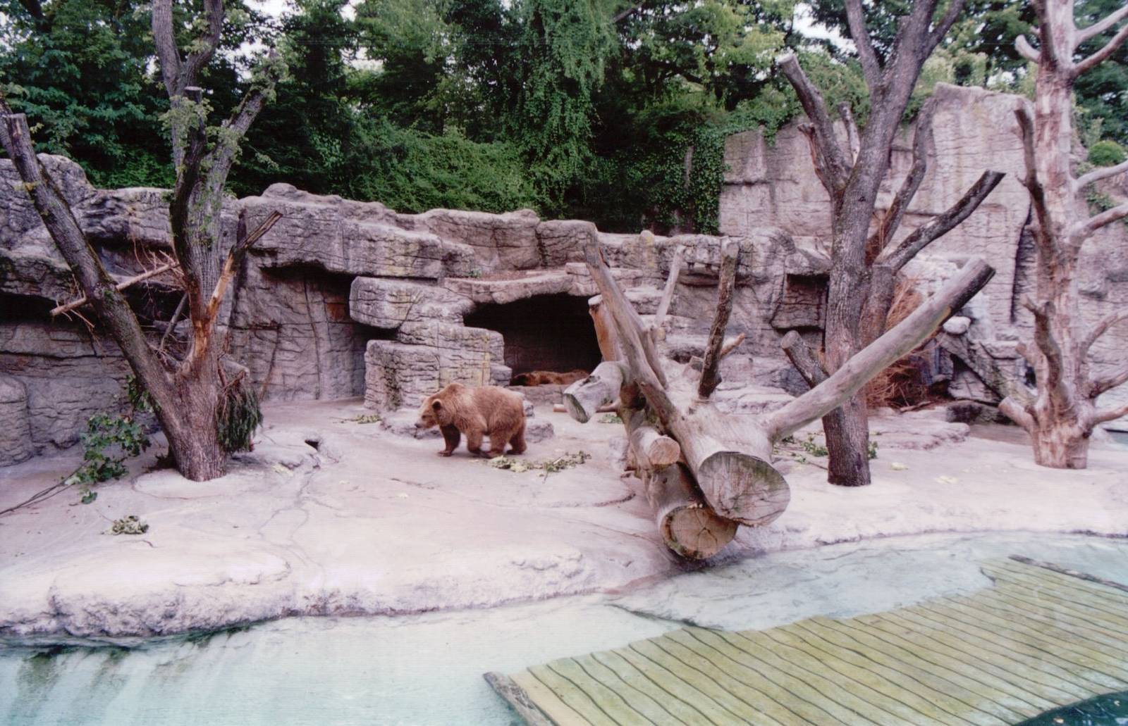 Basel Zoo 1999 - Brown Bear exhibit