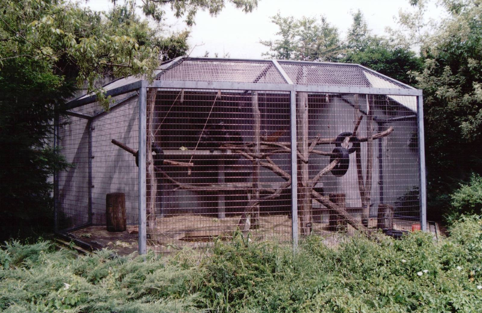 Basel Zoo 1999 - Typical outdoor cage at the Ape House