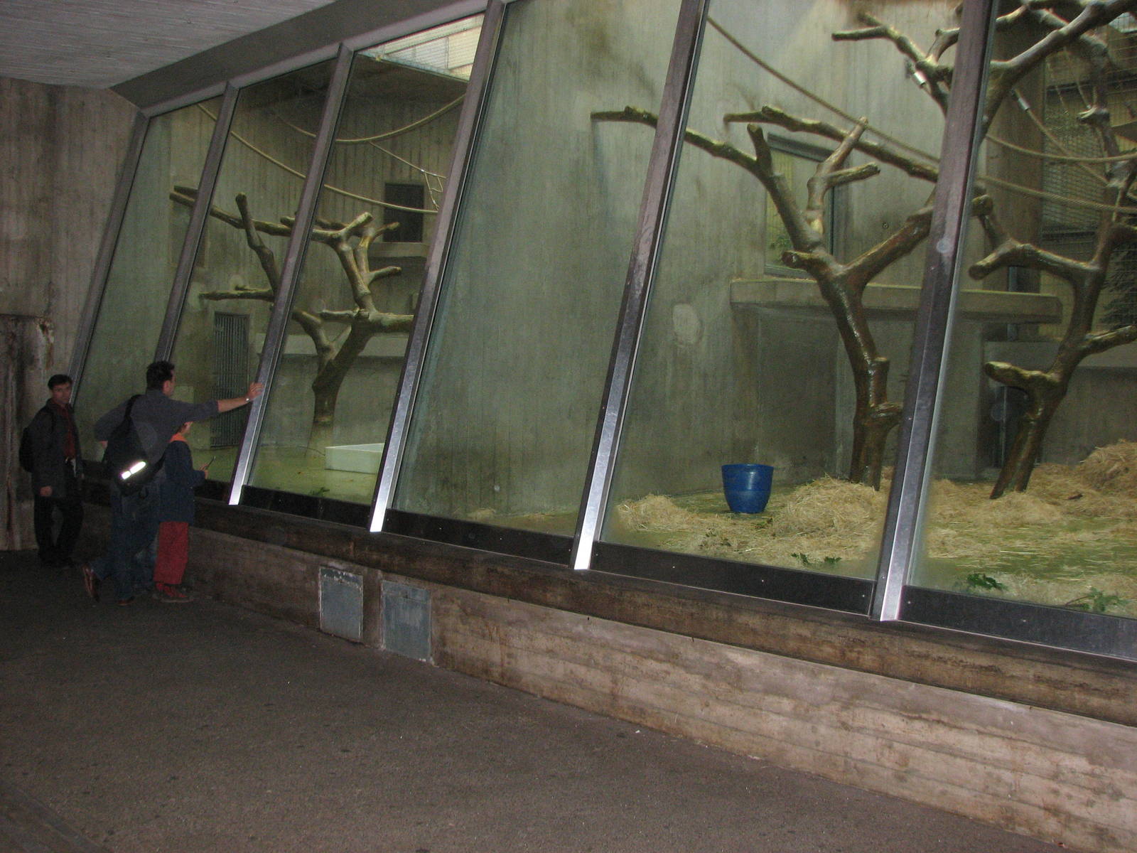 Basel Zoo 2006 - Exhibits inside the Ape House
