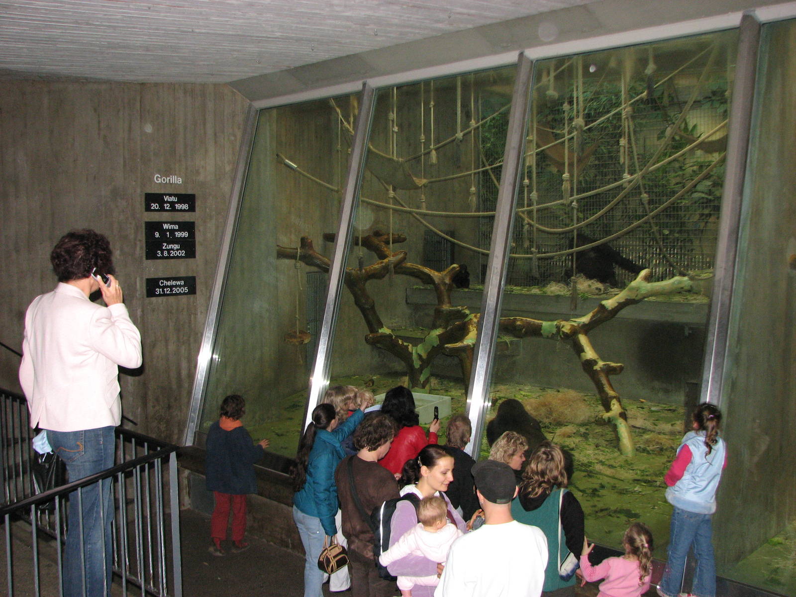 Basel Zoo 2006 - In front of the Gorilla exhibit inside the Ape House