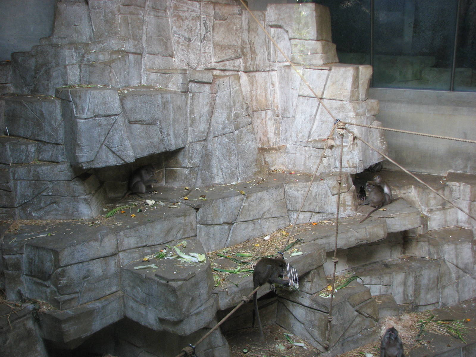 Basel Zoo 2006 - Indoor Monkey exhibit
