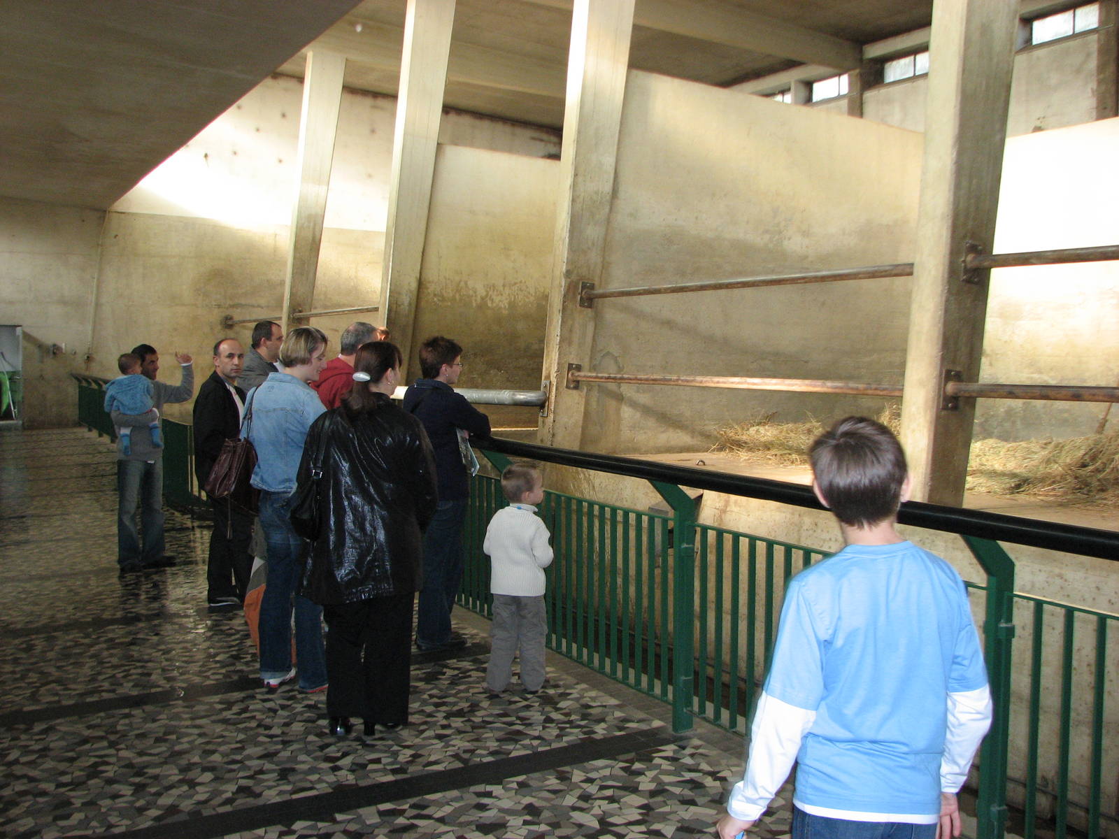 Basel Zoo 2006 - Inside the African Elephant House