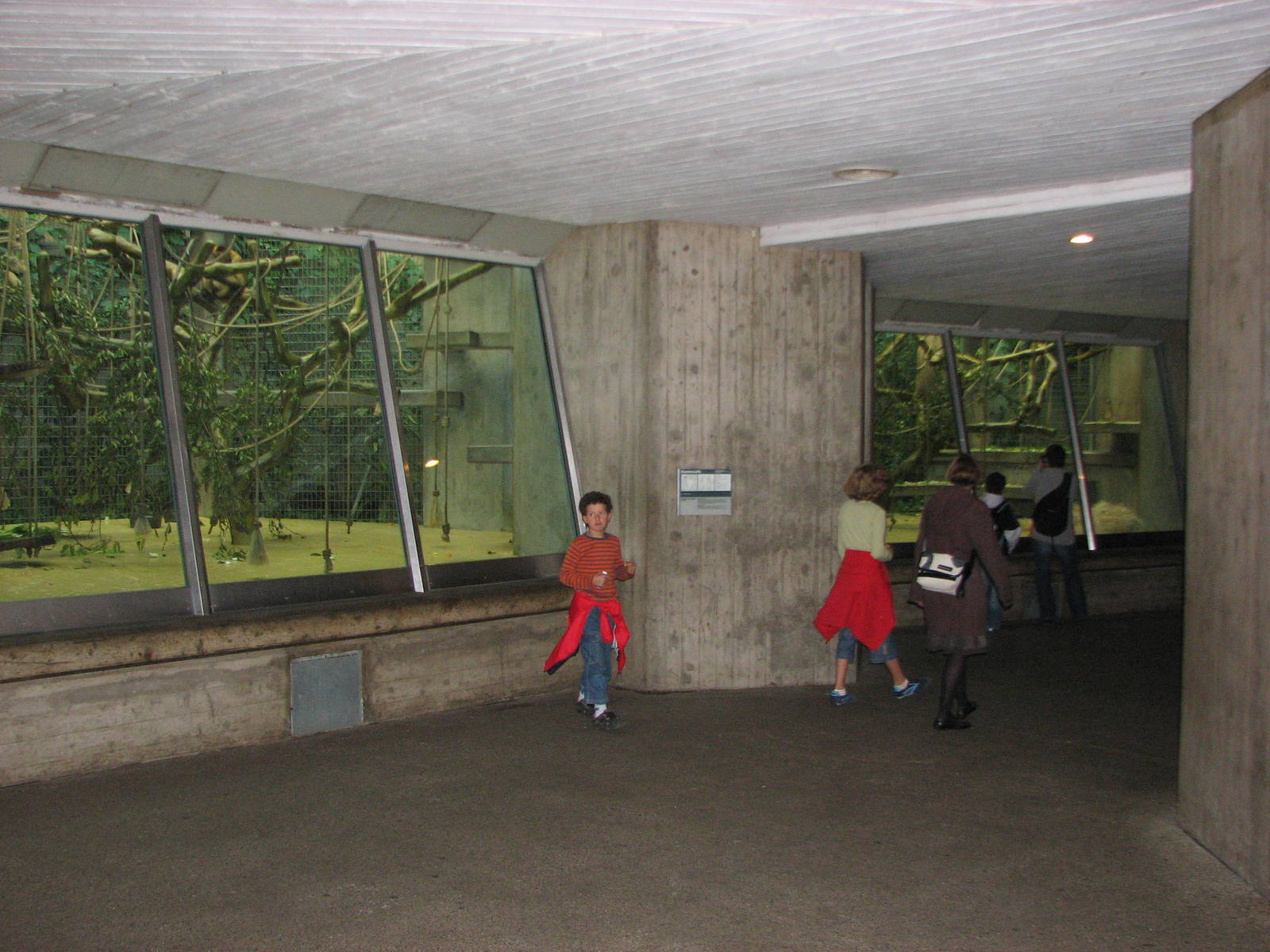 Basel Zoo 2006 - Inside the Ape House