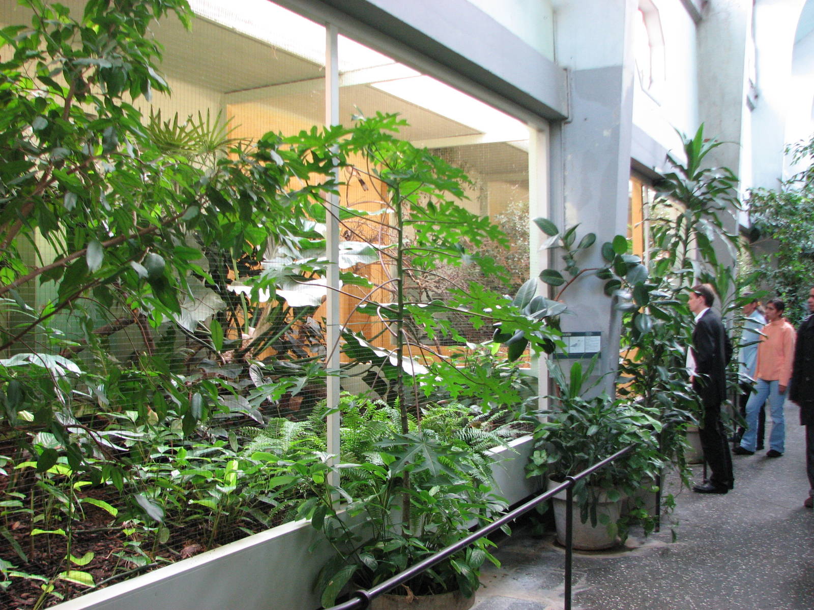 Basel Zoo 2006 - Inside the Bird House